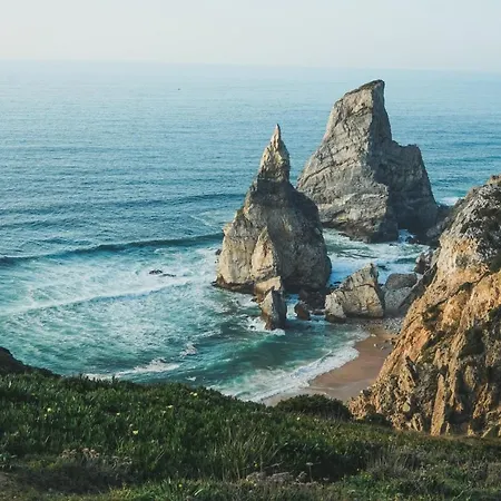 אכסניה The Salty Surf & Yoga *