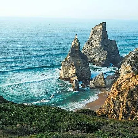 Auberge de jeunesse The Salty Surf & Yoga *